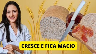 Receita de Pão Integral Simples, fácil de fazer. Macio e delicioso 😋