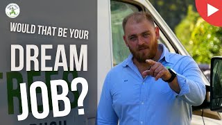 WOULD THAT BE YOUR DREAM JOB?! - SHANE'S TREES