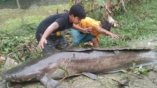 Two fisherman hand big fish catching.The best fishing video. 2022 best hand catfish fishing