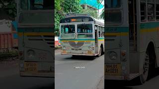 BEST safety livery bus offlink route 186🤩#shorts #bestbus #mumbaibestbuses #ytshorts