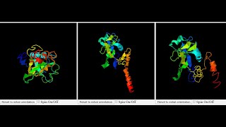 #HOMOLOGY MODELING PROTEIN MODELING ACTIVE SITE PREDICTION#BINDING SITE PREDICTION#PEPTIDE MODELING