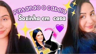 COMO PINTAR O CABELO SOZINHA EM CASA | tonalizando cabelo preto ❣️✨️