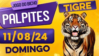 PALPITE DO DIA 11/08/2024 - JOGO DO BICHO 🍀 TODAS AS LOTERIAS 🍀