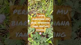 cintailah pekerjaan mu walau sederhana yang penting berkah#motivation#nature #viralshorts