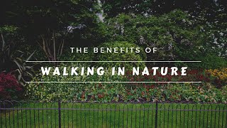 Benefits of Walking in Nature