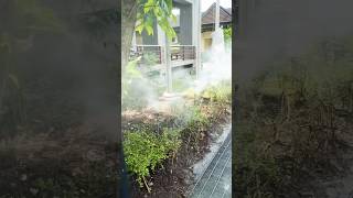 Pohon pohon butuh uap air #shorts #shortvideo #shortsfeed