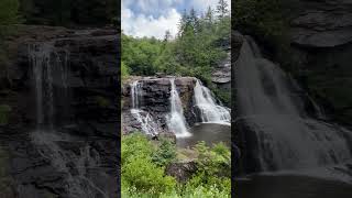 Blackwater Falls #shorts #wildlife #waterfall #summer2024 #westvirginia #tree