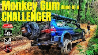 Monkey Gum done in a Challenger 4wd 4x4 Yalwal