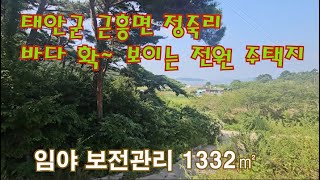 [딸기443]충남 태안군 근흥면 정죽리  바다가 잘보이는 전원주택지. 딸기공인중개사 041.662.0880