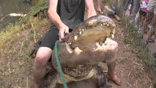 Gatorfest 2009 Alligator Wrestling Competition Highlights (NO MUSIC)