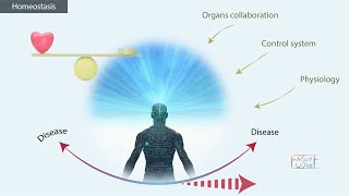 Homeostasis