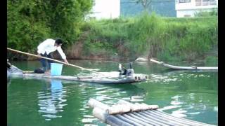 Amazing Birds Catching Fish For Man In Yangshuo.