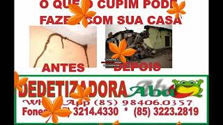 DEDETIZAÇÃO NO AUTRAN NUNES (85) 3214.4330