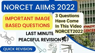 AIIMS NORCET IMAGE BASED IMPORTANT QUESTIONS | norcet aiims 2022 #norcet2022