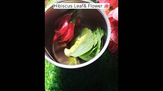 🔥Diy Hibiscus Hair Mask for Hair fall and extreme Hair Growth #shorts #ytshort #haircare#shortvideo