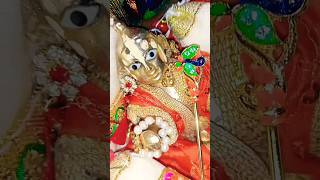 अधरम मधुरम!👏🏻👏🏻🙏🏻🙏🏻 #myfirstvlog #laddugopal #radhakrishna #radhe