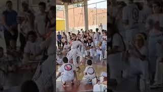 Jogo de capoeira campeonato sucena jogaço #capoeira #capoeirafight #shortsvideo #shorts