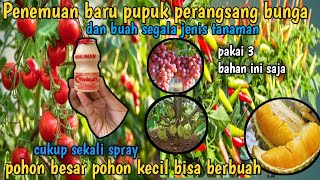 jutan petani heboh !!! penemuan  baru pupuk perangsang bunga dan buah paling ampuh modal 3 bahan