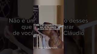 Animais no seu modo engraçado