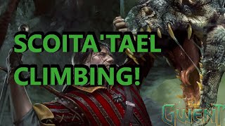 Is It The Best Scoia'tael Deck In Gwent?