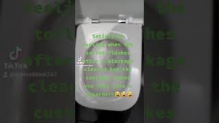 Blocked toilet cleaning