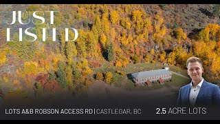 Lots A & B Robson Access Road - Castlegar, BC