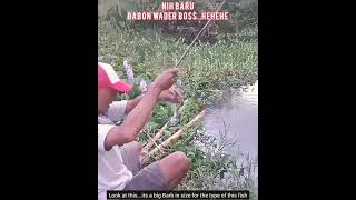 Hasil Perjuangan Mancing Liar / The Results of the Wild Fishing Struggle #Shorts