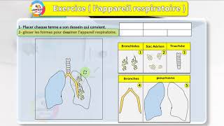 Comment dessiner un appareil respiratoire ? - ( approche inductive )-TICE