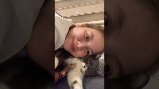 Gigil ❤️ #cat #catlover #catsofyoutube #shortvideo #Chiboo #short