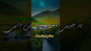 گسیوی خوش رنگ حنایی داری