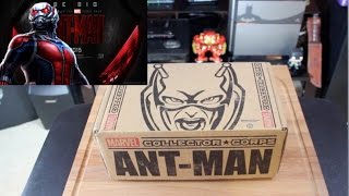 Marvel FUNKO Collector Corps Unboxing | ANT MAN | JUNE 2015