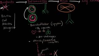 Chronic bronchitis treatment Vietsub  Respiratory system diseases   NCLEX RN   Khan Academy