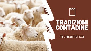 Tradizioni contadine - Transumanza