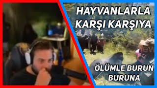 Elraenn - Hayvan ve İnsanların Karşı Karşıya Gelmesini İzliyor ! Ölümle Burun Buruna Gelen İnsanlar