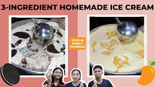 3-Ingredient, Easy-to-Make Homemade Ice Cream 🍦 | Cookies & Cream and Mango | Food Hug: The Fam Vlog