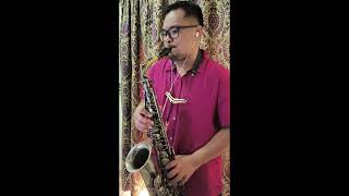 "I Just Called To Say I Love You" - Stevie Wonder (Sax Cover)