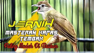 Kapas Tembak Gacor Jernih Rapet Cocok Untuk masteran Segala Jenis Burung , gampang masuk di ingat !