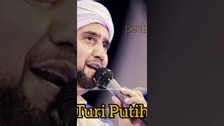 Turi Putih habib syech #pecintasholawat #cintasholawat #habibsyechasseggaf #shorts