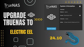 Upgrading to TrueNAS SCALE 24.10 (Electric Eel) - What's new?