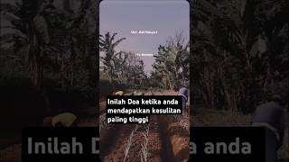 Amalan dari ustadz Adi hidayat #viralvideo #kutipan #quotes #ustadzadihidayatmotivasi #viralvideo