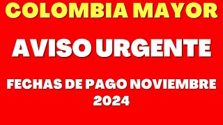 🔔📅 COLOMBIA MAYOR: INFORMACIÓN FECHAS DE PAGOS NOVIEMBRE 2024