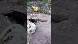 Creative Amazing Bird Trap #shorts