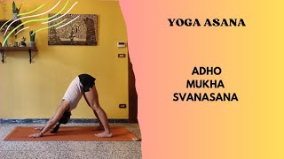 Yoga Asana - ADHO MUKHA SVANASANA