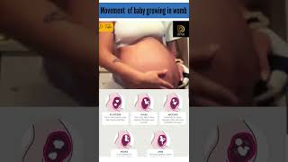 movement of baby growing in womb | baby developing in the womb #pregnancy #baby #growth