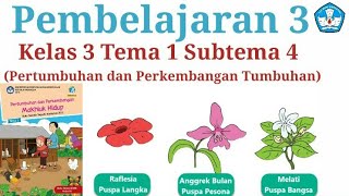 Materi Pelajaran kelas 3 Tema 1 Subtema 4 // Pertumbuhan dan Perkembangan Tumbuhan//Pembelajaran 4