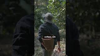 Exploring Coffee's Global Origins" | Pearl Lemon Cafe #shorts #cafe  #coffee