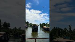 Into backwaters #alappuzha #backwaters #tourism