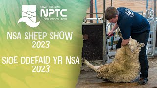 NSA Sheep Show 2023 | Sioe Ddefaid yr NSA 2023