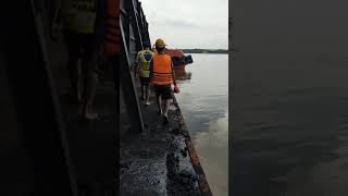 penampakan buaya besar 7 meter