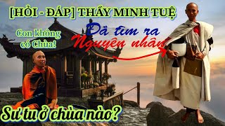 Nguyên nhân Thầy Minh Tuệ không dùng Y Bát để khất thực!